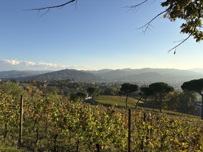 Acqui Terme (Alessandria)