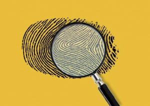 12650407_10208090385838223_563760856_n