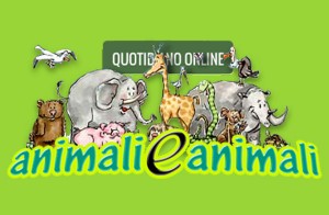 Animali e Animali