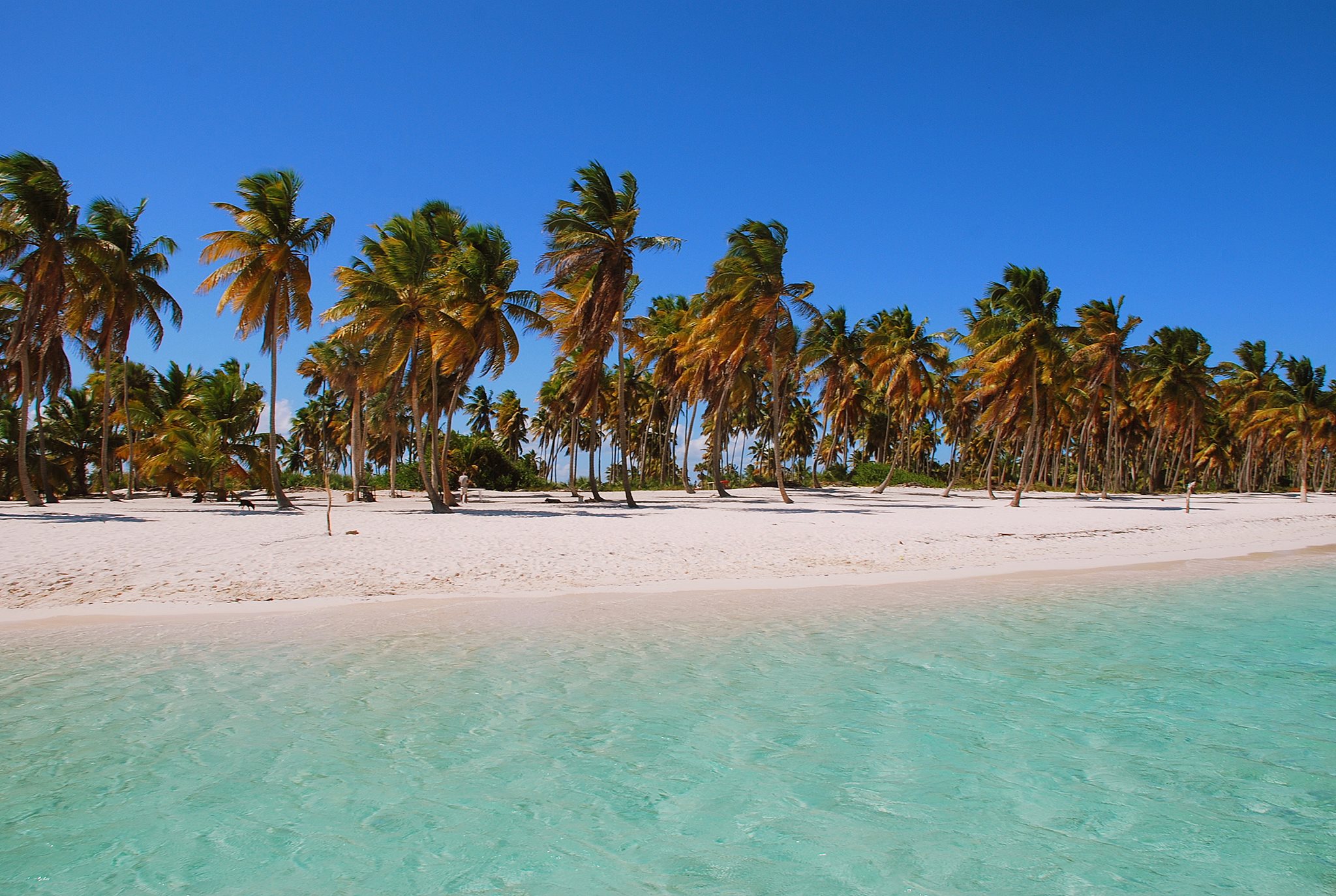 Natal, Brasile il Mondo Insieme