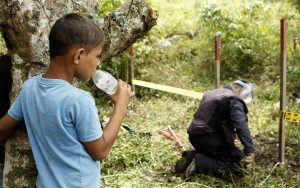 Colombia's Government and FARC in demining plan
