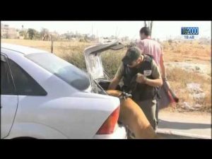 il-governo-israeliano-sceglie-il-pugno-di-ferro-e-reagisce-allescalation-di-attentati