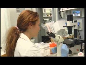 e-allarme-tra-i-genitori-per-calo-di-vaccinazioni-una-mamma-di-cesena-lancia-una-petizione-in-rete