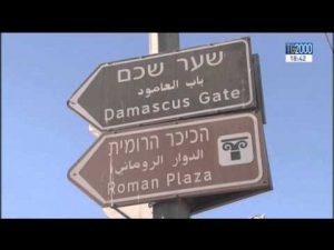 pace-in-terra-santa-lintervista-a-manuela-dviri-scrittrice-e-blogger