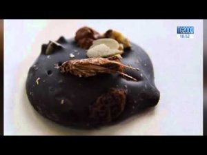 larve-alghe-e-ragni-a-tavola-ok-da-strasburgo-linsetto-e-servito