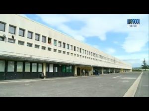 papa-lettera-giovane-cara-musulmani-non-sono-terroristi