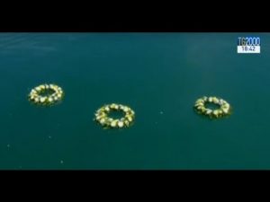 la-preghiera-e-le-tre-corone-lanciate-in-mare-da-francesco-bartolomeo-e-hieronimos