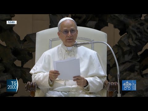 Papa Leone XIV: impiegherò ogni sforzo per la pace Papa Leone XIV: impiegherò ogni sforzo per la pace