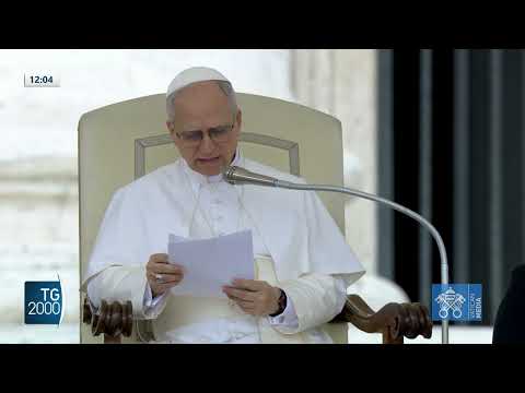 Papa Leone XIV: “Dolorosa situazione a Gaza, entrino aiuti umanitari” Papa Leone XIV: “Dolorosa situazione a Gaza, entrino aiuti umanitari”