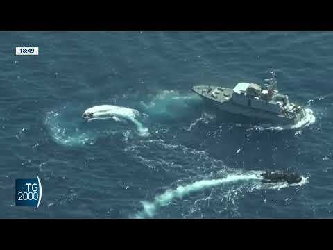 Soccorsi in mare, legge Piantedosi in Consulta Soccorsi in mare, legge Piantedosi in Consulta
