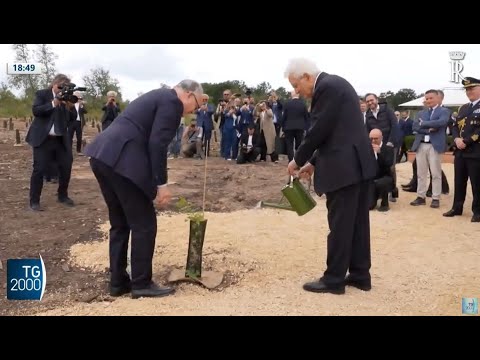 Mattarella a cerimonia piantumazione nuove essenze vegetali nella Tenuta di Castelporziano Mattarella a cerimonia piantumazione nuove essenze vegetali nella Tenuta di Castelporziano