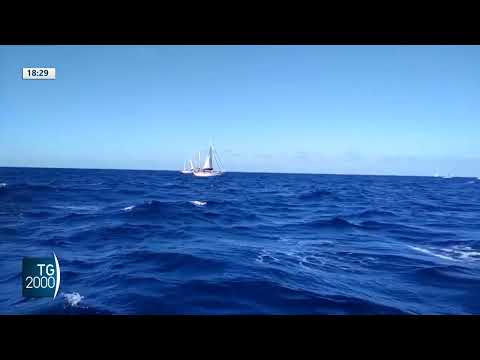 Flotilla prosegue la rotta verso Gaza. Azioni di disturbo di Tel Aviv