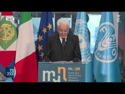 Mattarella: “L’ONU è sotto attacco e va difesa” Mattarella: “L’ONU è sotto attacco e va difesa”