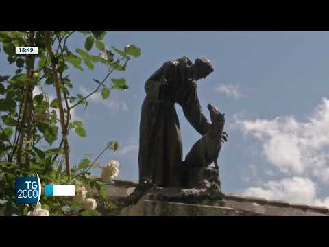 san francesco custode sacro convento abbiamo invitato il papa ad assisi