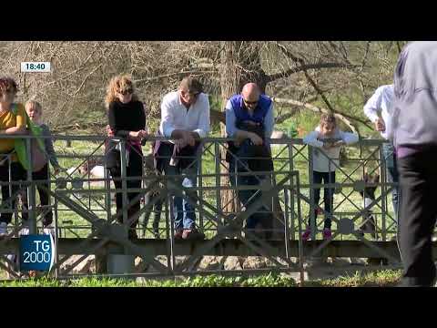 al sud abusivo un edificio su due condono in arrivo da Tv2000.it al sud abusivo un edificio su due condono in arrivo