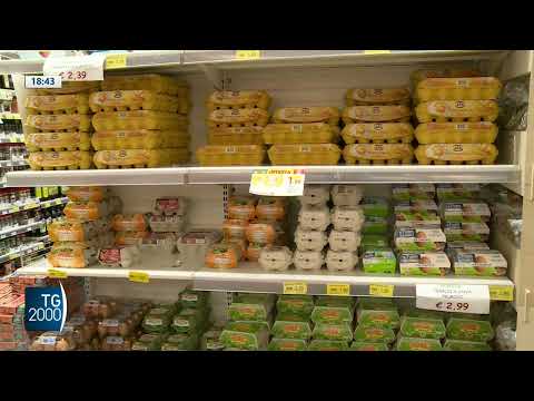 Sicurezza alimentare, le regole d’oro per la conservazione dei cibi