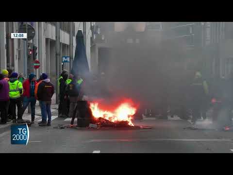 agricoltura a bruxelles la protesta dei trattori da Tv2000.it agricoltura a bruxelles la protesta dei trattori