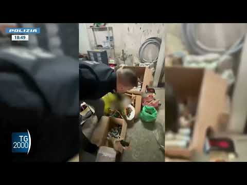 sicurezza forze dell8217ordine rafforzano i controlli per natale da Tv2000.it sicurezza forze dell8217ordine rafforzano i controlli per natale