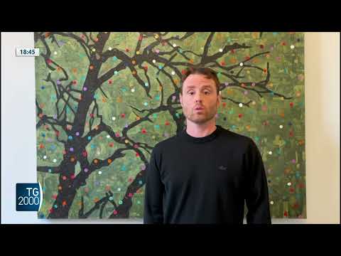 La migliore scuola d’Italia è a un liceo scientifico a Padova La migliore scuola d’Italia è a un liceo scientifico a Padova