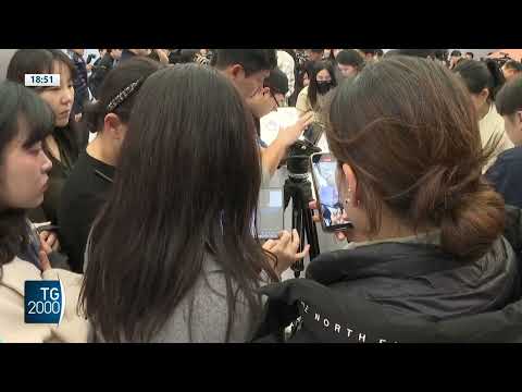 Papa Francesco, Israele e Lucio Corsi le parole più cercate su Google nel 2025 Papa Francesco, Israele e Lucio Corsi le parole più cercate su Google nel 2025