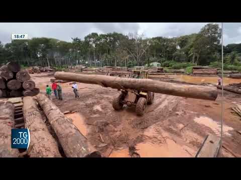 Clima, Trump cancella norme anti gas serra. Brasile ferma deforestazione Clima, Trump cancella norme anti gas serra. Brasile ferma deforestazione