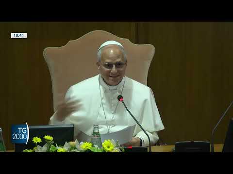 papa leone udienze con movimenti ecclesiali e comece da Tv2000.it papa leone udienze con movimenti ecclesiali e comece