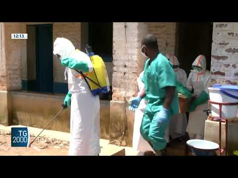 ebola capo oms in congo medico in quarantena in italia da Tv2000.it ebola capo oms in congo medico in quarantena in italia