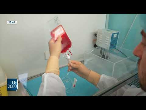 tumori oncologi in italia guarito 1 paziente su 4 da Tv2000.it tumori oncologi in italia guarito 1 paziente su 4