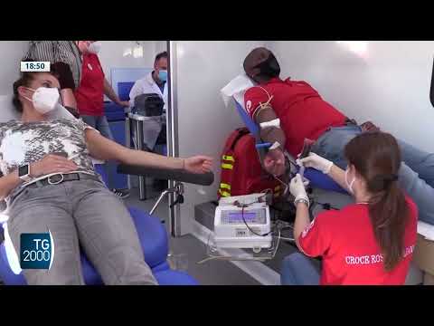al via campagna ministero donazione sangue da Tv2000.it al via campagna ministero donazione sangue