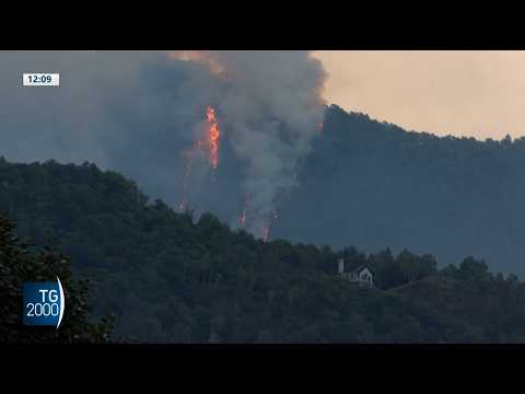 torna l8217incubo incendi emergenza in piemonte otto fronti attivi da Tv2000.it torna l8217incubo incendi emergenza in piemonte otto fronti attivi