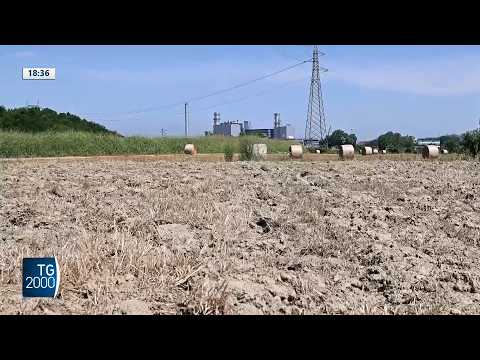 caldo la terza ondata mercoled236 previsti 7 bollini rossi da Tv2000.it caldo la terza ondata mercoled236 previsti 7 bollini rossi