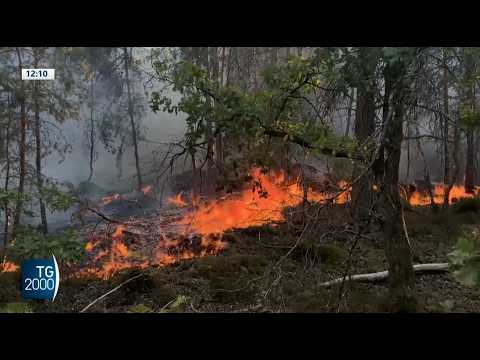 caldo e incendi devastano l8217italia brucia anche la francia da Tv2000.it caldo e incendi devastano l8217italia brucia anche la francia