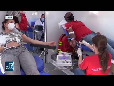 emergenza sangue donare 232 importante da Tv2000.it emergenza sangue donare 232 importante