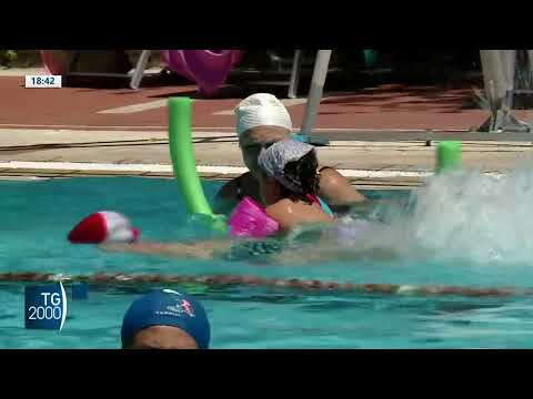 bimba muore in una piscina dibattito su legge per la sicurezza da Tv2000.it bimba muore in una piscina dibattito su legge per la sicurezza