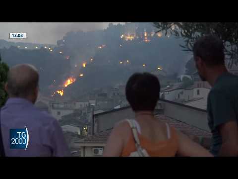 caldo citt224 da bollino rosso e allarme incendi ma domani sensibile calo termico da Tv2000.it caldo citt224 da bollino rosso e allarme incendi ma domani sensibile calo termico