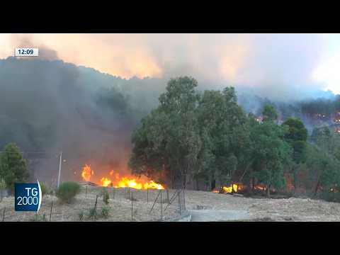 caldo e incendi brucia la sicilia morto un vigile del fuoco da Tv2000.it caldo e incendi brucia la sicilia morto un vigile del fuoco