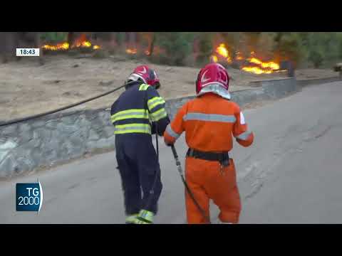 emergenza incendi le pi249 colpite sicilia e lazio da Tv2000.it emergenza incendi le pi249 colpite sicilia e lazio