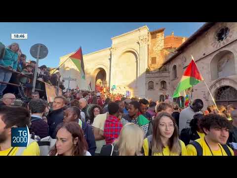 legge sulla difesa civile non armata oltre 50 mila firme da Tv2000.it legge sulla difesa civile non armata oltre 50 mila firme