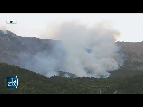 incendi e roghi da nord a sud il fuoco fa paura da Tv2000.it incendi e roghi da nord a sud il fuoco fa paura
