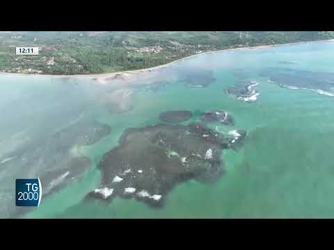 mediterraneo sempre pi249 caldo e salato ecco cosa sta succedendo da Tv2000.it mediterraneo sempre pi249 caldo e salato ecco cosa sta succedendo