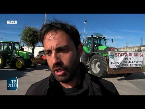 caserta la protesta degli agricoltori in strada con i trattori da Tv2000.it caserta la protesta degli agricoltori in strada con i trattori