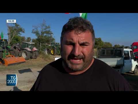 caro carburanti sul piede di guerra agricoltori e pescatori da Tv2000.it caro carburanti sul piede di guerra agricoltori e pescatori