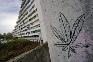 CONTROLLI A SCAMPIA, RIMOSSI SISTEMI VIDEOSORVEGLIANZA