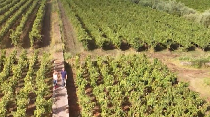 "Agrinet - Il futuro in campo" <br> Da sabato 30 maggio ore 17.30