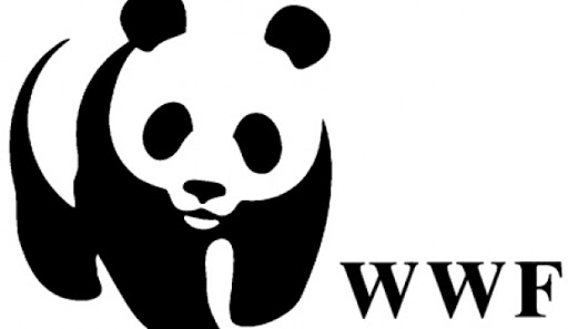 A come Ambiente <br> “Siamo all'ultima goccia", il report del WWF sul pericolo della siccità