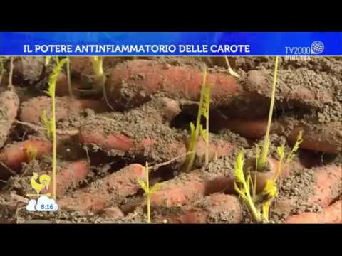 Il potere antinfiammatorio delle carote